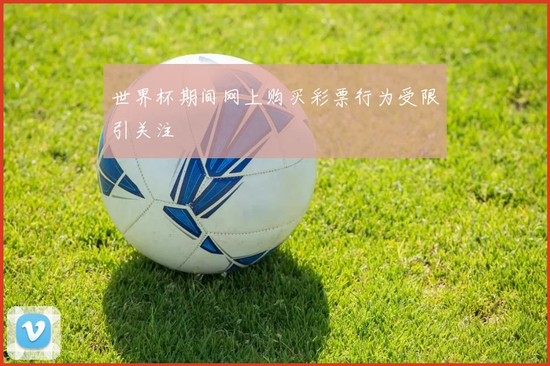 世界杯期间网上购买彩票行为受限引关注