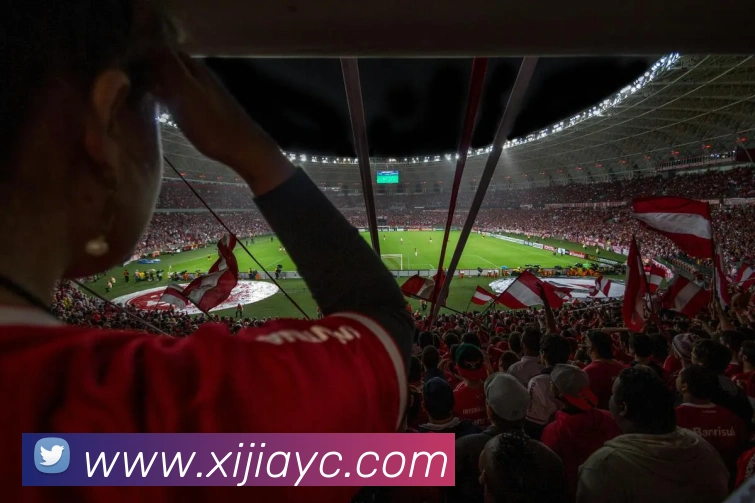 爱游戏ayx官方登录入口APP 封面图